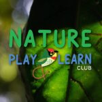 natureplaylearnclub